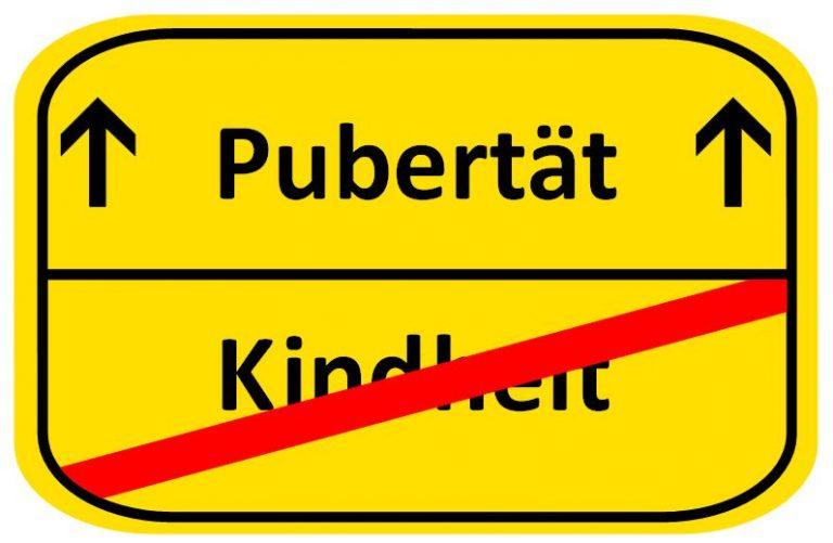 Jungen in der Pubertät begleiten